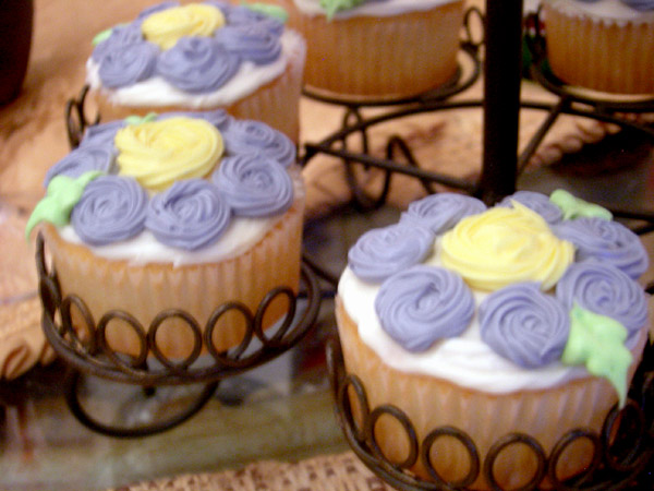 cupcake-for-seti-birthday_fl