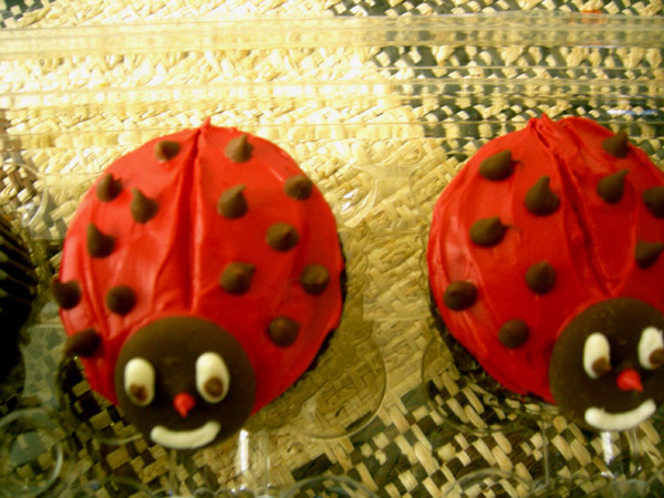 ladybug-cupcakes-at-setis-school-bday